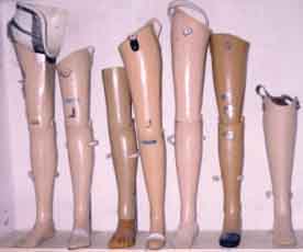 legs.jpg