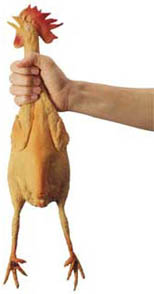 thechicken.jpg